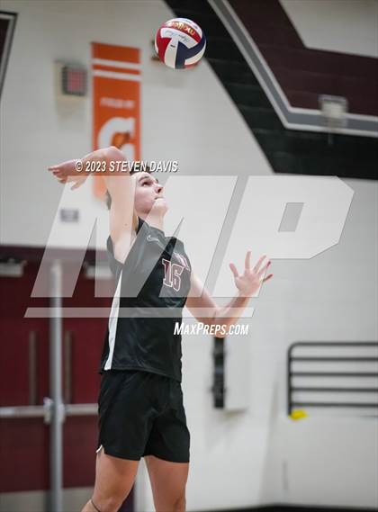 Thumbnail 2 in Basha @ Hamilton photogallery.