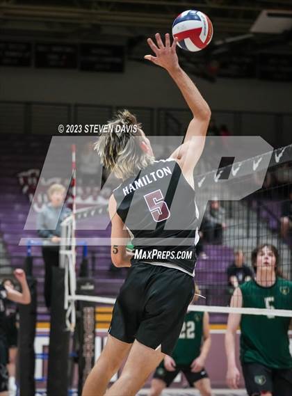 Thumbnail 1 in Basha @ Hamilton photogallery.