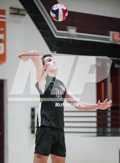 Thumbnail 3 in Basha @ Hamilton photogallery.