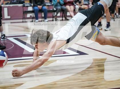 Thumbnail 3 in Basha @ Hamilton photogallery.