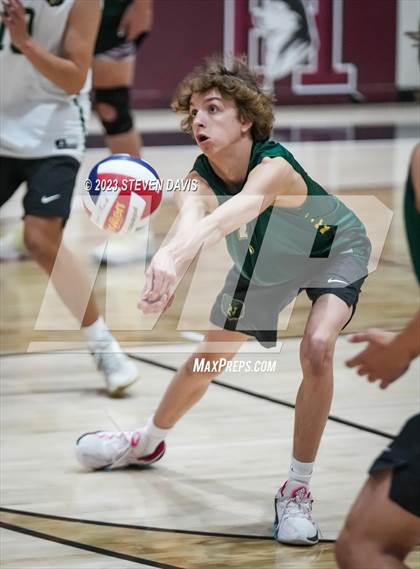 Thumbnail 1 in Basha @ Hamilton photogallery.