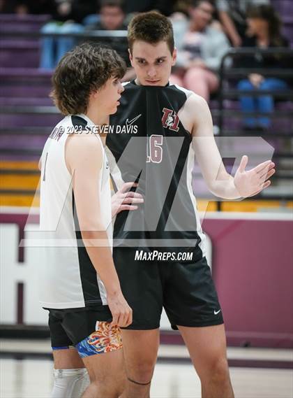 Thumbnail 3 in Basha @ Hamilton photogallery.