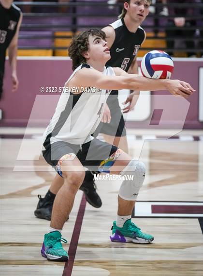 Thumbnail 2 in Basha @ Hamilton photogallery.