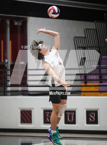 Thumbnail 2 in Basha @ Hamilton photogallery.