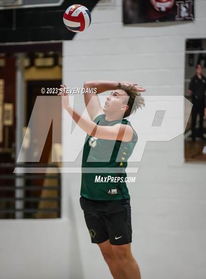 Thumbnail 2 in Basha @ Hamilton photogallery.