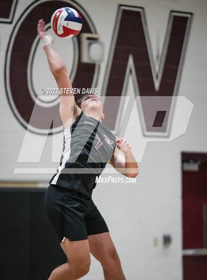 Thumbnail 3 in Basha @ Hamilton photogallery.