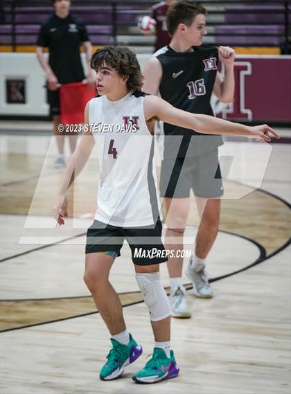 Thumbnail 3 in Basha @ Hamilton photogallery.