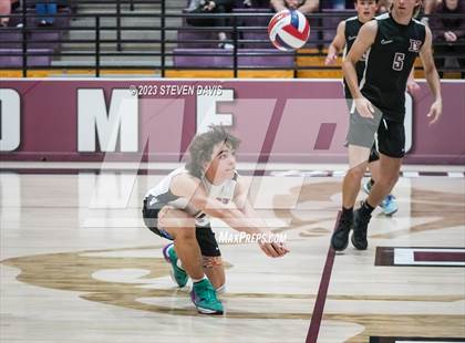 Thumbnail 3 in Basha @ Hamilton photogallery.