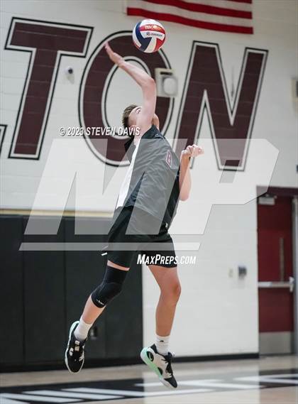Thumbnail 3 in Basha @ Hamilton photogallery.