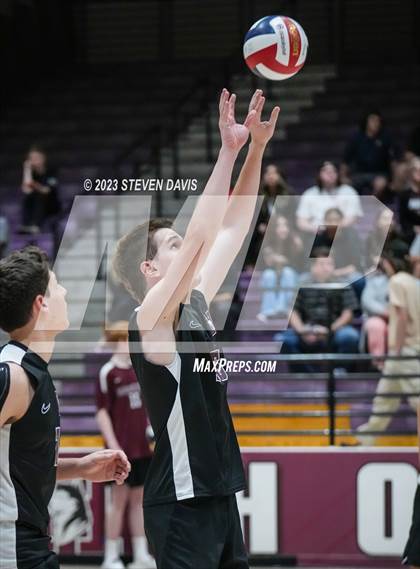 Thumbnail 1 in Basha @ Hamilton photogallery.