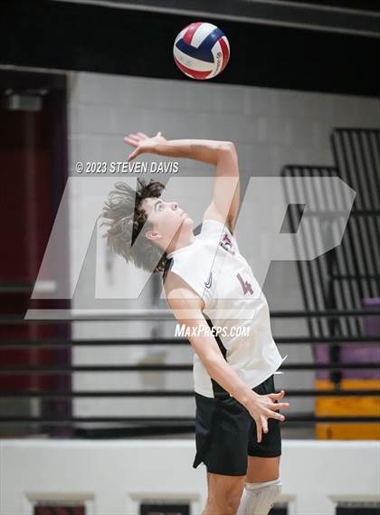 Thumbnail 3 in Basha @ Hamilton photogallery.