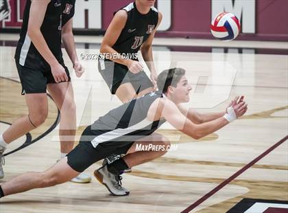 Thumbnail 3 in Basha @ Hamilton photogallery.