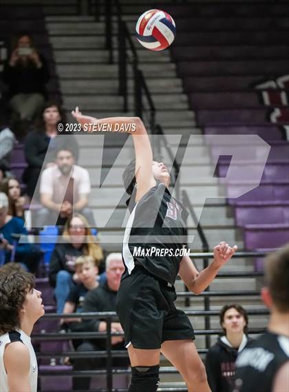 Thumbnail 2 in Basha @ Hamilton photogallery.
