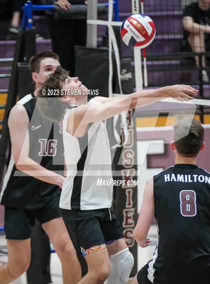 Thumbnail 2 in Basha @ Hamilton photogallery.