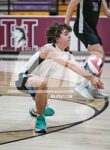 Thumbnail 1 in Basha @ Hamilton photogallery.