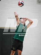 Photo from the gallery "Basha @ Hamilton"