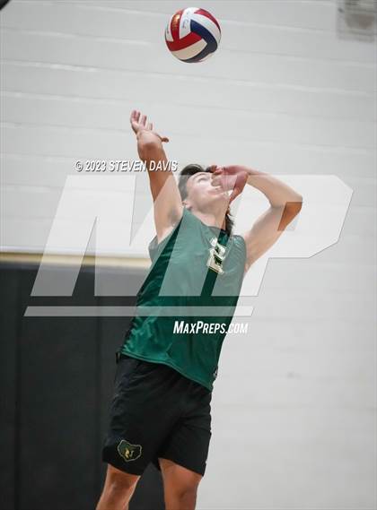 Thumbnail 2 in Basha @ Hamilton photogallery.