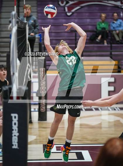 Thumbnail 2 in Basha @ Hamilton photogallery.
