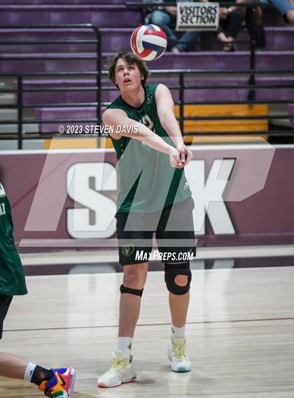Thumbnail 3 in Basha @ Hamilton photogallery.