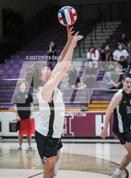 Thumbnail 2 in Basha @ Hamilton photogallery.