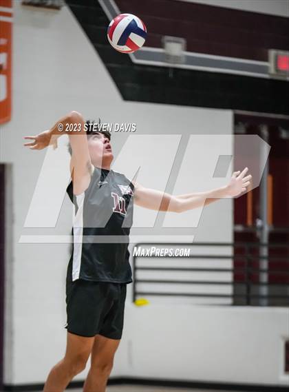 Thumbnail 2 in Basha @ Hamilton photogallery.