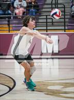 Photo from the gallery "Basha @ Hamilton"