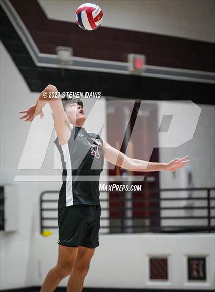 Thumbnail 1 in Basha @ Hamilton photogallery.