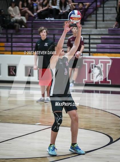 Thumbnail 1 in Basha @ Hamilton photogallery.