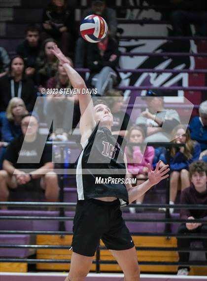 Thumbnail 1 in Basha @ Hamilton photogallery.