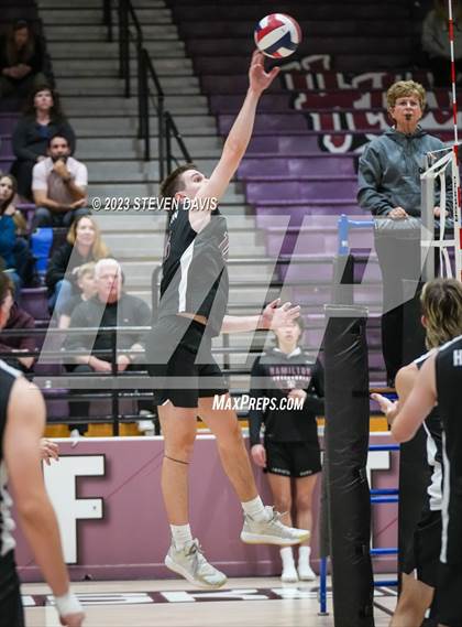 Thumbnail 1 in Basha @ Hamilton photogallery.