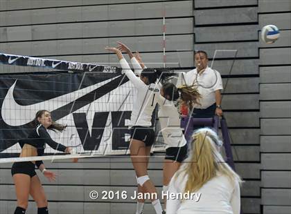 Thumbnail 2 in Archbishop Mitty vs. Walton (Durango Fall Classic) photogallery.