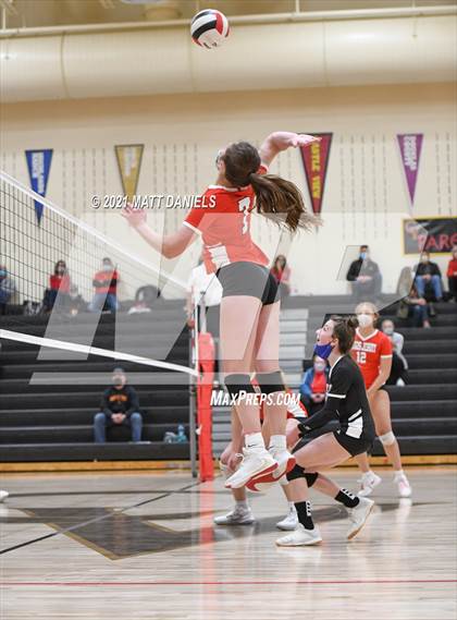 Thumbnail 3 in Regis Jesuit @ Castle View photogallery.