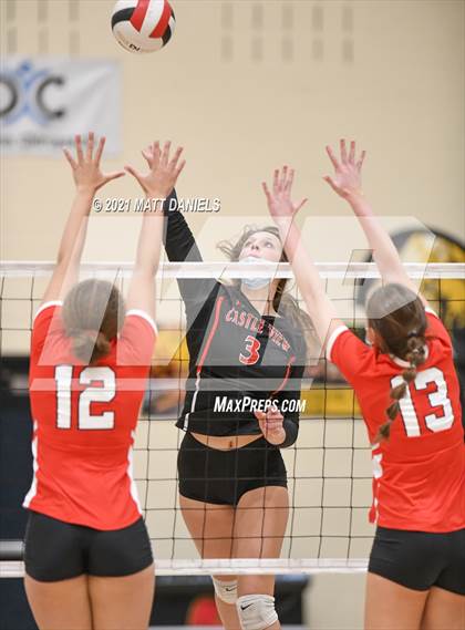 Thumbnail 3 in Regis Jesuit @ Castle View photogallery.