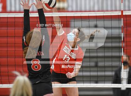 Thumbnail 2 in Regis Jesuit @ Castle View photogallery.