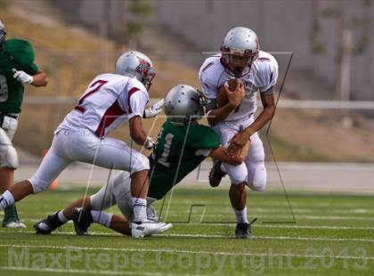 Thumbnail 2 in Northridge @ Olympus photogallery.