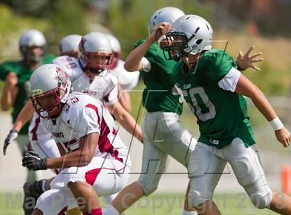 Thumbnail 3 in Northridge @ Olympus photogallery.