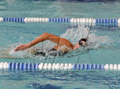 Thumbnail 3 in New Milford @ Brookfield photogallery.
