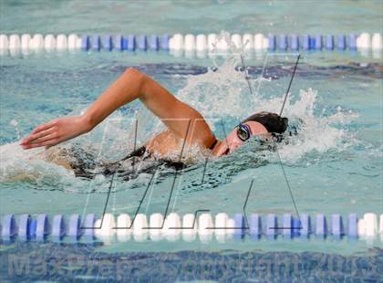 Thumbnail 1 in New Milford @ Brookfield photogallery.