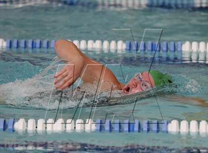 Thumbnail 3 in New Milford @ Brookfield photogallery.