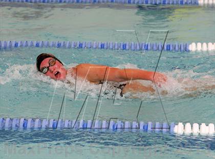 Thumbnail 3 in New Milford @ Brookfield photogallery.