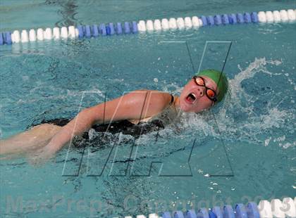 Thumbnail 1 in New Milford @ Brookfield photogallery.