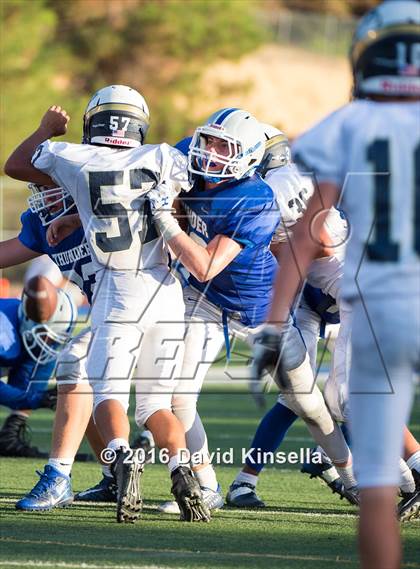 Thumbnail 3 in Napa @ Rocklin photogallery.
