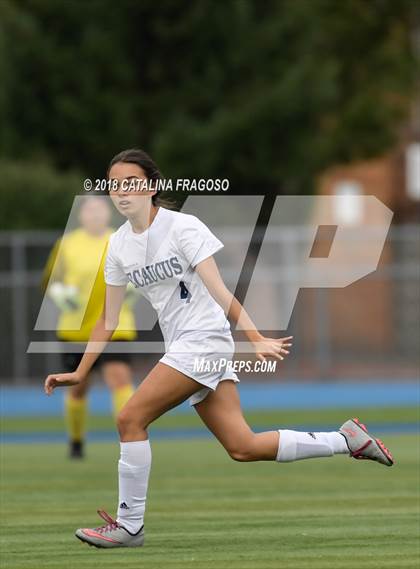 Thumbnail 1 in Secaucus @ Ridgefield Memorial photogallery.