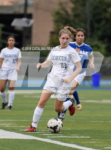 Thumbnail 3 in Secaucus @ Ridgefield Memorial photogallery.