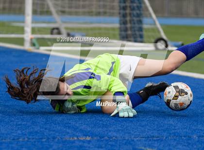 Thumbnail 2 in Secaucus @ Ridgefield Memorial photogallery.