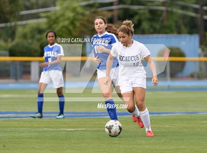 Thumbnail 1 in Secaucus @ Ridgefield Memorial photogallery.