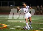 Photo from the gallery "Westview @ Roosevelt"