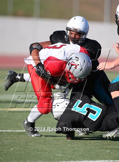 Thumbnail 3 in Antelope @ Sheldon photogallery.
