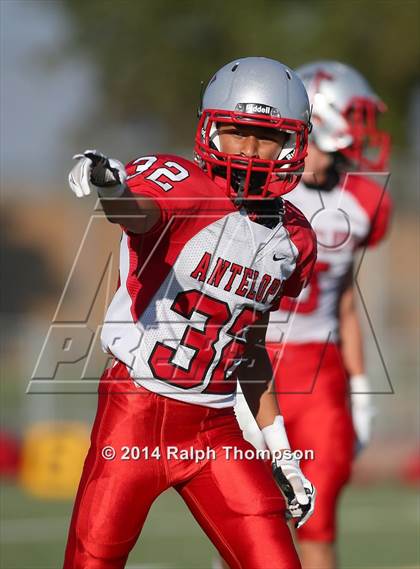 Thumbnail 2 in Antelope @ Sheldon photogallery.