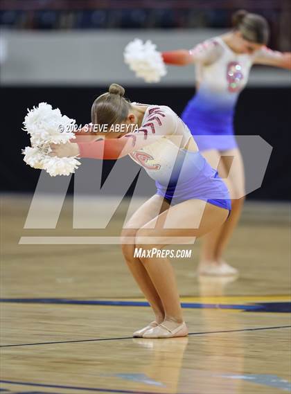 Thumbnail 2 in Cherry Creek (CHSAA 5A State Spirit Championships) photogallery.